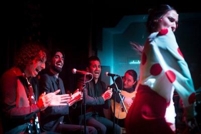 Tapas Route and Flamenco Show in Jerez