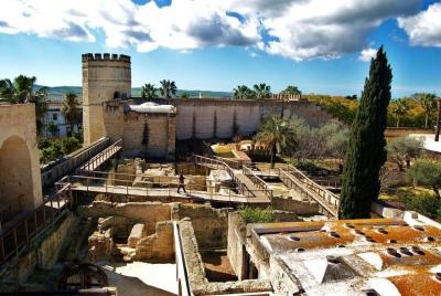 Jerez Walking Tour with Alcazar and Cathedral Entrance Jerez Walking Tour with Alcazar and Cathedral Entrance