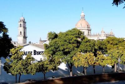 Walking tour in Jerez Walking tour in Jerez