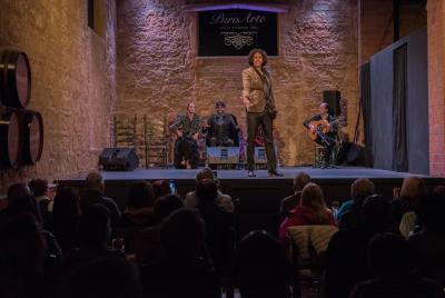 Skip the Line: Tablao Flamenco Puro Arte in Jerez Ticket