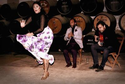 Jerez de la Frontera: Flamenco & Tapas Tour
