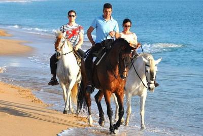 Horseback Riding in Zahora Beach, Spain