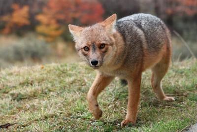 Tour to Tierra del Fuego National Park from Ushuaia