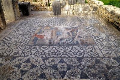 Volubilis and Meknes: Private day trip from Fez with Hotel pick up Volubilis and Meknes: Private day trip from Fez with Hotel pick up