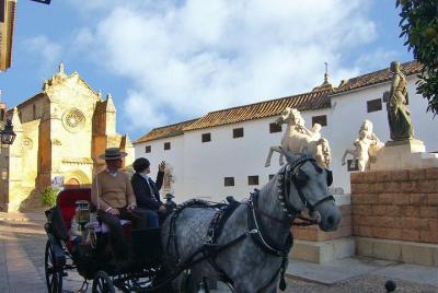 Private Tour: Horse-Drawn Carriage Ride Through Cordoba Private Tour: Horse-Drawn Carriage Ride Through Cordoba
