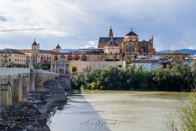 Guided visit Córdoba Monumental Guided visit Córdoba Monumental