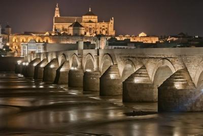 Private Old Cordoba walking tour and Mosque-Cathedral Private Old Cordoba walking tour and Mosque-Cathedral