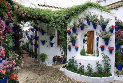 Patios and Perfumes of Cordoba Festival Tour Patios and Perfumes of Cordoba Festival Tour
