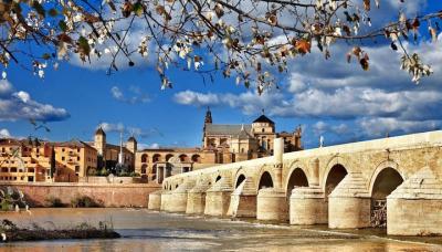 Cordoba Old Town Private Walking Tour