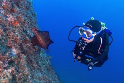 Small-Group Scuba Diving Adventure in Costa Brava  Small-Group Scuba Diving Adventure in Costa Brava