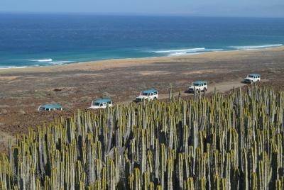 Jeep Tour to Cotillo and Northern Area of Fuerteventura