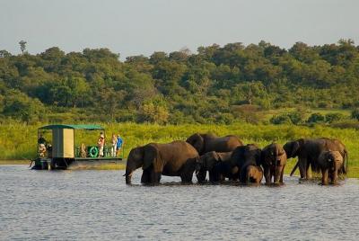 Chobe National Park 4X4 Day Safari and River Cruise Chobe National Park 4X4 Day Safari and River Cruise