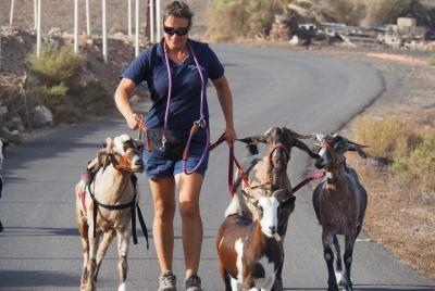 Goat trekking Fuerteventura