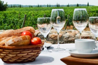 Wine Tasting and Brunch Small Group Tour from Girona Wine Tasting and Brunch Small Group Tour from Girona