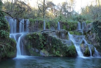 Volcanic Trekking: Volcano, Forest and Waterfall Day Trip from Girona with Lunch