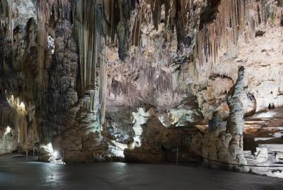 Private Tour: Tropical Coast and Caves of Nerja Day Trip from Granada Private Tour: Tropical Coast and Caves of Nerja Day Trip from Granada