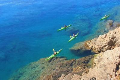 3-hour guided kayak + snorkel tour 3-hour guided kayak + snorkel tour