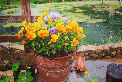 Unique gastronomic and cultural experience Watermill and a Waterfall