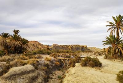 Day trip to Tabernas Desert from Granada Day trip to Tabernas Desert from Granada