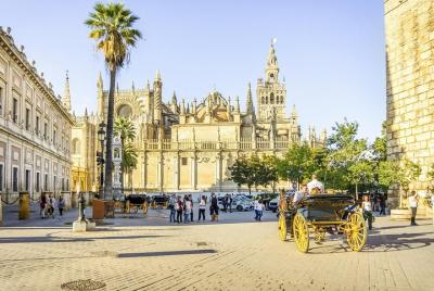 Seville One Day Trip from Granada, Alcazar, Cathedral and Giralda Guided Tour. Seville One Day Trip from Granada, Alcazar, Cathedral and Giralda Guided Tour.