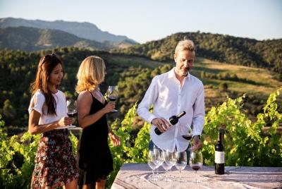 From Barcelona: winery tour and tasting in Priorat From Barcelona: winery tour and tasting in Priorat