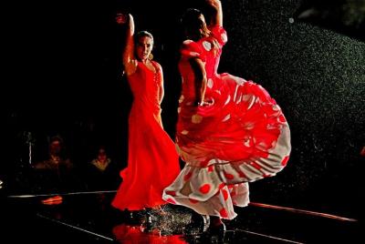 Albaicín & Sacromonte Guided Walking Tour with Flamenco & Tapas D