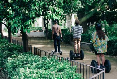 Granada: Panoramic segway tour 