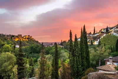 Granada: 90 minutes sunset segway tour