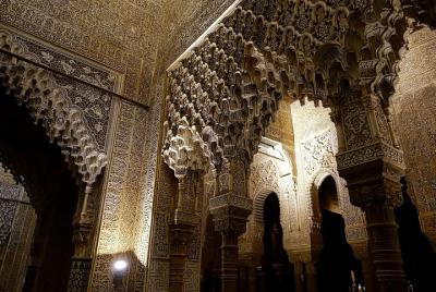 Visit Alhambra at night (10 people) Visit Alhambra at night (10 people)