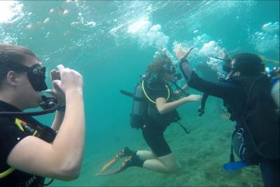 Scuba diving & hermitage red hills