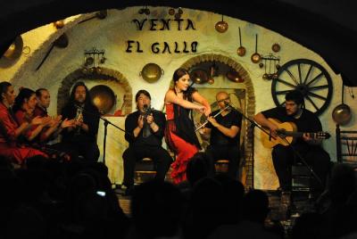 Granada day and night: Complete Alhambra and Flamenco Show in natural cave Granada day and night: Complete Alhambra and Flamenco Show in natural cave