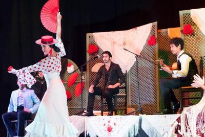 Flamenco in the Center of Granada