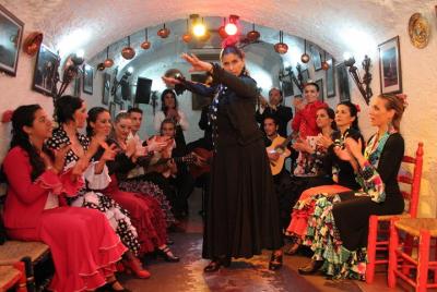 Granada Flamenco Show in Sacromonte