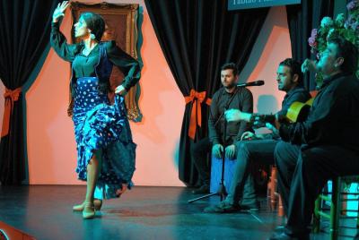 Skip the Line: Authentic Flamenco in Granada Ticket