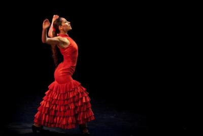 Tour Albaicín & Sacromonte con Espectáculo Flamenco y Tapas Tour Albaicín & Sacromonte con Espectáculo Flamenco y Tapas