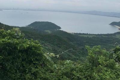 Day Trip to Elephant Spring (Waterfall) via Hai Van Pass and Lap An Lagoon Day Trip to Elephant Spring (Waterfall) via Hai Van Pass and Lap An Lagoon