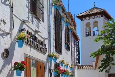 Private Tour of The historical Center: Albaicín, Sacromonte and Sagrario Private Tour of The historical Center: Albaicín, Sacromonte and Sagrario