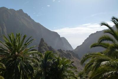 Tenerife Highlights Full-Day Tour Tenerife Highlights Full-Day Tour