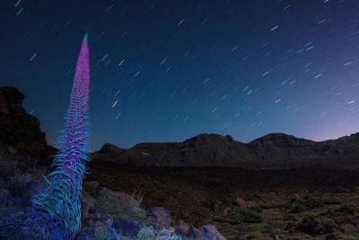 Mount Teide Tour by Night Mount Teide Tour by Night