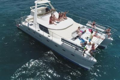 Whale and Dolphin Watching Luxury Catamaran, Free Meal & Transfer Whale and Dolphin Watching Luxury Catamaran, Free Meal & Transfer