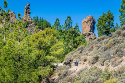 Custom Private & VIP Roque Nublo Hike