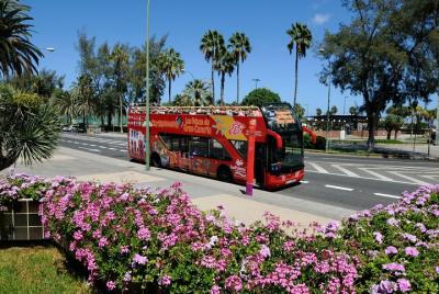City Sightseeing Las Palmas de Gran Canaria Hop-On Hop-Off Bus To
