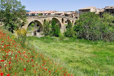 Private "Camino de Santiago" (The Way Of St. James) ORIGINAL WAY  Private