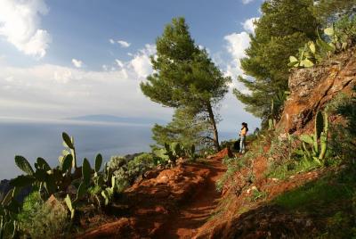 La Gomera Wild North West Tour La Gomera Wild North West Tour