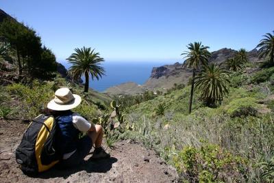 Full Day Tour of La Gomera