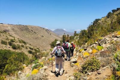Half-Day Botanical Cliff Hike in Haria