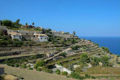Authentic Villages and Inland Majorca guided tour (pick up from South) Authentic Villages and Inland Majorca guided tour (pick up from South)
