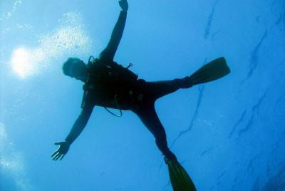 Introduction dive in the sea Introduction dive in the sea