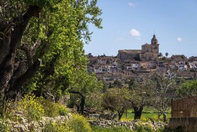 Premium small group tour: Mallorca Inland Villages  Premium small group tour: Mallorca Inland Villages