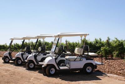 Wine tourism: Wine tasting Wine tourism: Wine tasting